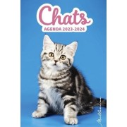  Agenda Chats 2023-2024 