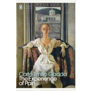 THE EXPERIENCE OF PAIN