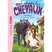  Mes amis les chevaux Tome 13  