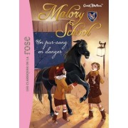  Malory School Tome 3  