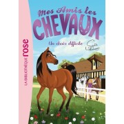  Mes amis les chevaux Tome 3  