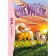 Mes amis les chevaux Tome 6  