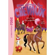  Mes amis les chevaux Tome 9  