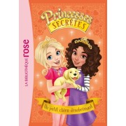 Princesses secrètes Tome 5  