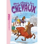  Mes amis les chevaux Tome 29  
