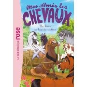  Mes amis les chevaux Tome 41  