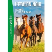  L'Etalon Noir Tome 11  