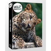  Wild Immersion Agenda 2023/2024 