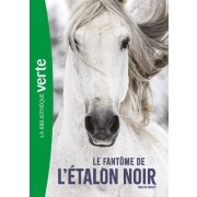  L'Etalon Noir Tome 16  