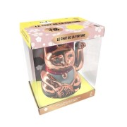  COFFRET Chat de la Fortune 