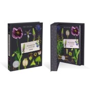  L'herbier des fleurs sauvages de nos régions 