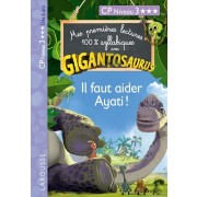  Il faut aider Ayati ! - CP Niveau 3  