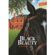  Black Beauty  