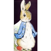  Bonjour, pierre lapin ! 