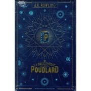  Harry Potter ; la bibliothèque de Poudlard  