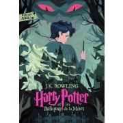  Harry Potter Tome 7  