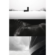  Liaigre - 12 Projects  