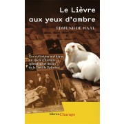  Le lièvre aux yeux d'ambre 