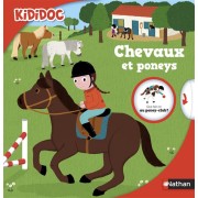  Les chevaux et les poneys 