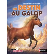  Un destin au galop - Dans la peau d'un mustang  