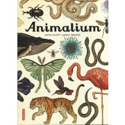  Animalium  