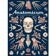  Anatomicum  