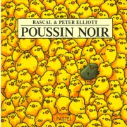  Poussin noir  