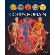  Le corps  