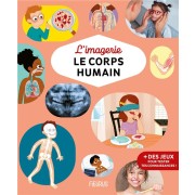  L'imagerie : le corps humain 