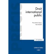  Droit international public  