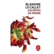  Dix rêves de pierre  