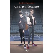  Un si joli désastre  