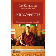  Interconnectés ; réenchanter le monde ensemble 