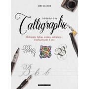  Initiation à la calligraphie - Alphabets, lettres ornées, entrelacs... expliqués pas à pas  