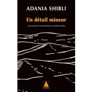  Un détail mineur  