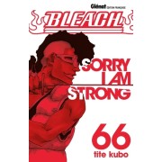  Bleach Tome 66  