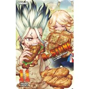  Dr. Stone t.11 ; premier contact 