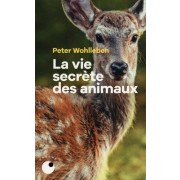  La vie secrète des animaux - Amour, deuil, compassion : un monde caché s'ouvre à nous  