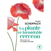  La plante ce formidable cerveau ; découvrez ses incroyables facultés 