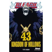  Bleach Tome 43  