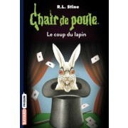  Chair de poule Tome 35  