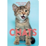  Agenda scolaire Chats  