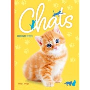  Agenda de texte Chats  