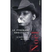  Le pyromane adolescent ; le sang visible du vitrier 