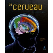  Le cerveau - A la conquête des hémisphères  