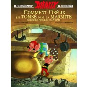  Comment Obélix est tombé dans la marmite du druide quand il était petit 