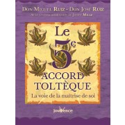  Le 5e accord toltèque ; la voie de la maîtrise de soi  