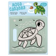  Tortue  