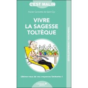  Vivre la sagesse toltèque, c'est malin  