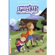  Enquêtes à la montagne ! ; qui sème la pagaille à Marcoz ? 